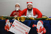 zdjęcie nr 17 - 