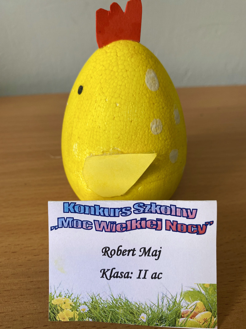 zdjęcie nr 4 - 